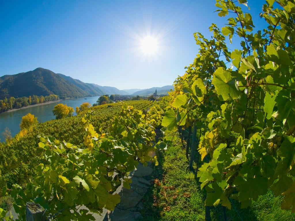 Gartenhotel & Weingut Pfeffel Dürnstein Esterno foto