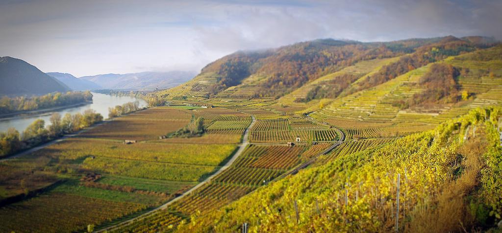 Gartenhotel & Weingut Pfeffel Dürnstein Esterno foto